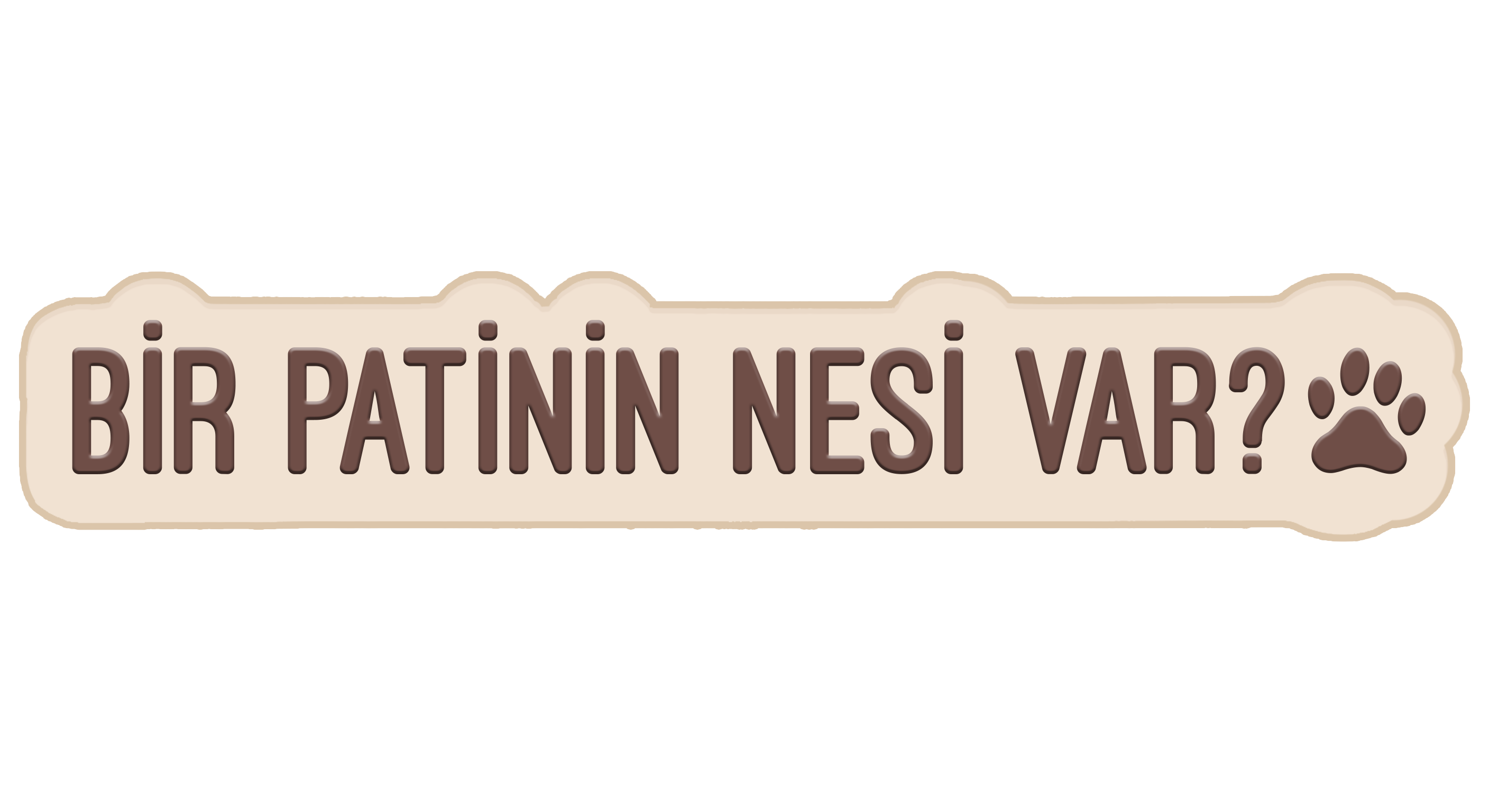Bir Patinin Nesi Var?