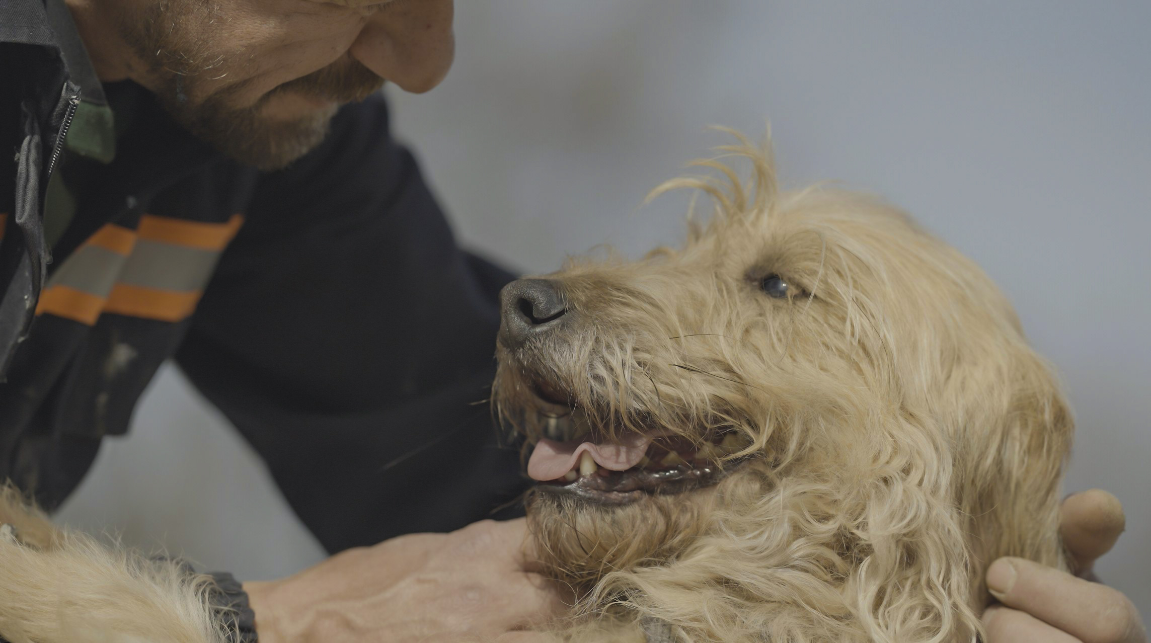 Furkan Kızılay & Golden Retriever