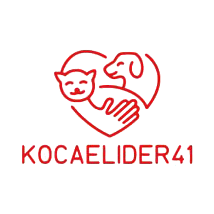 kocaelider